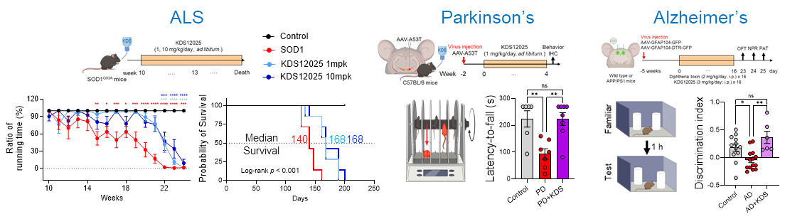 Figure 2. KDS12025 delayed disease onset, restored motor function, and extended lifespan from 140 to 168 days in an ALS mouse model — the first drug to achieve all three. It also restored motor function in Parkinson’s models and rescued memory deficits in Alzheimer’s models to normal levels.