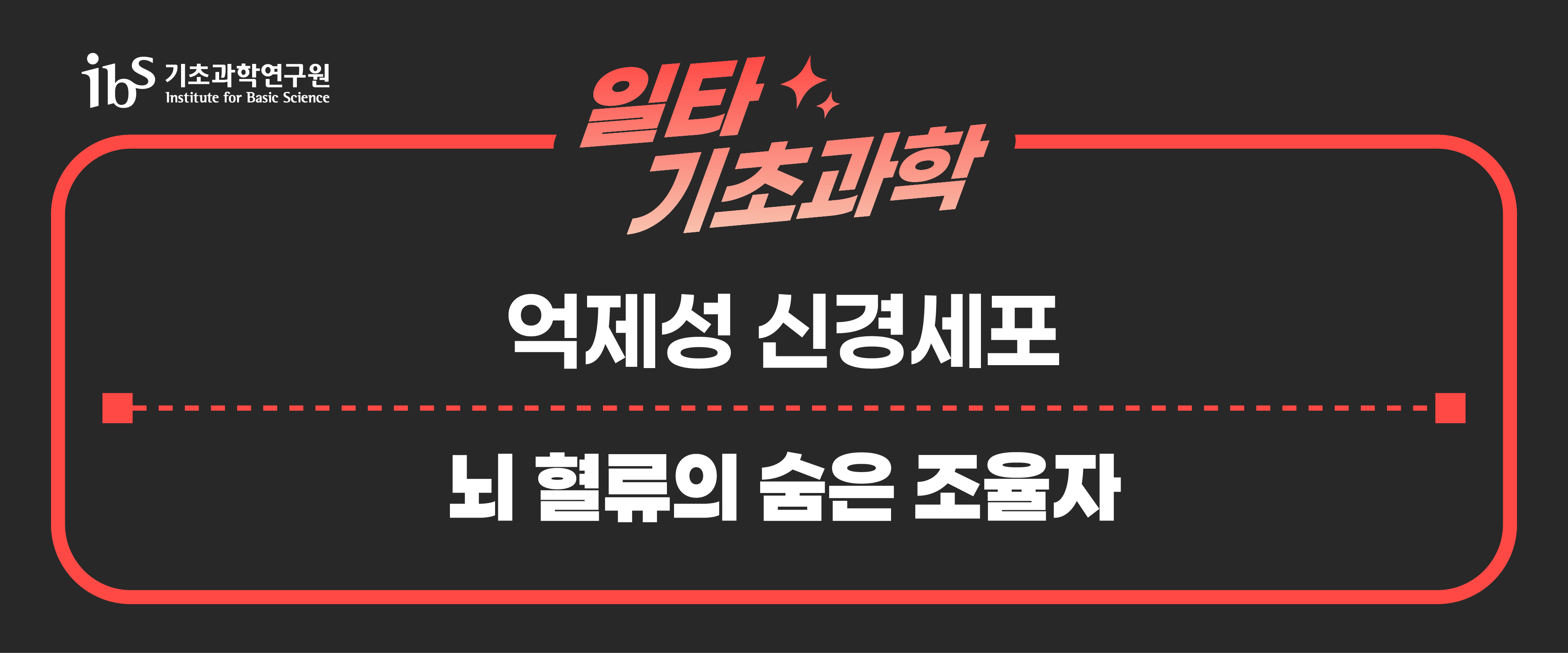 억제성 신경세포 뇌혈류의 숨은 조율자