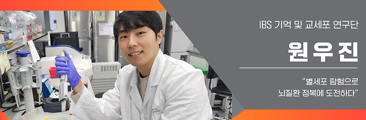 IBS 기억 및 교세포 연구단 원우진 별세포 탐험으로 뇌질환 정복에 도전하다