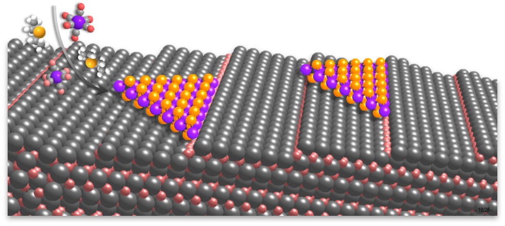 [그림1] 계단 구조 표면의 사파이어 기판 위에 2차원 반도체를 에피택시 성장하는 과정 모식도
