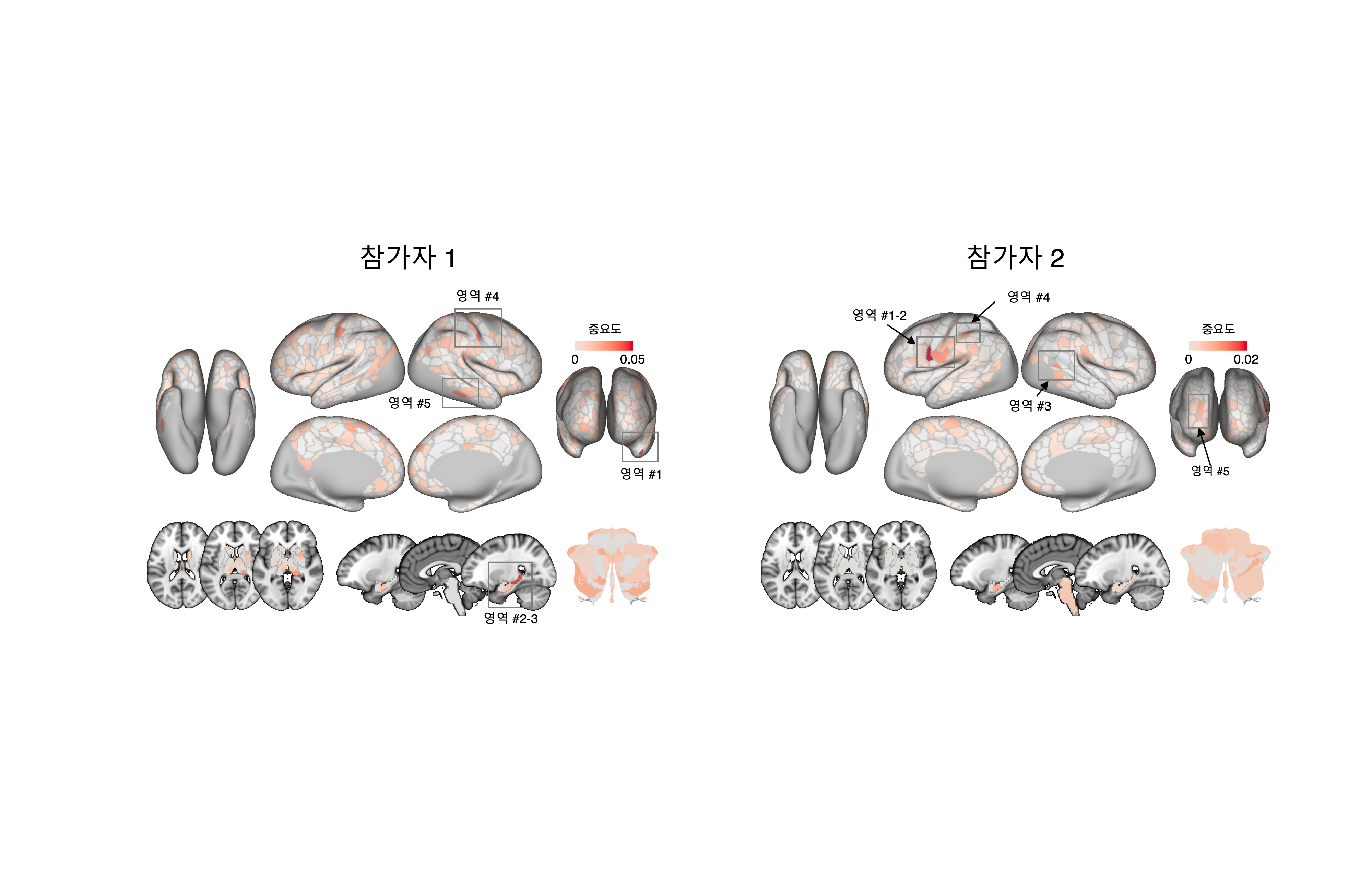 [그림2] 뇌 영상 기반 만성 통증 마커의 뇌 영역별 중요도