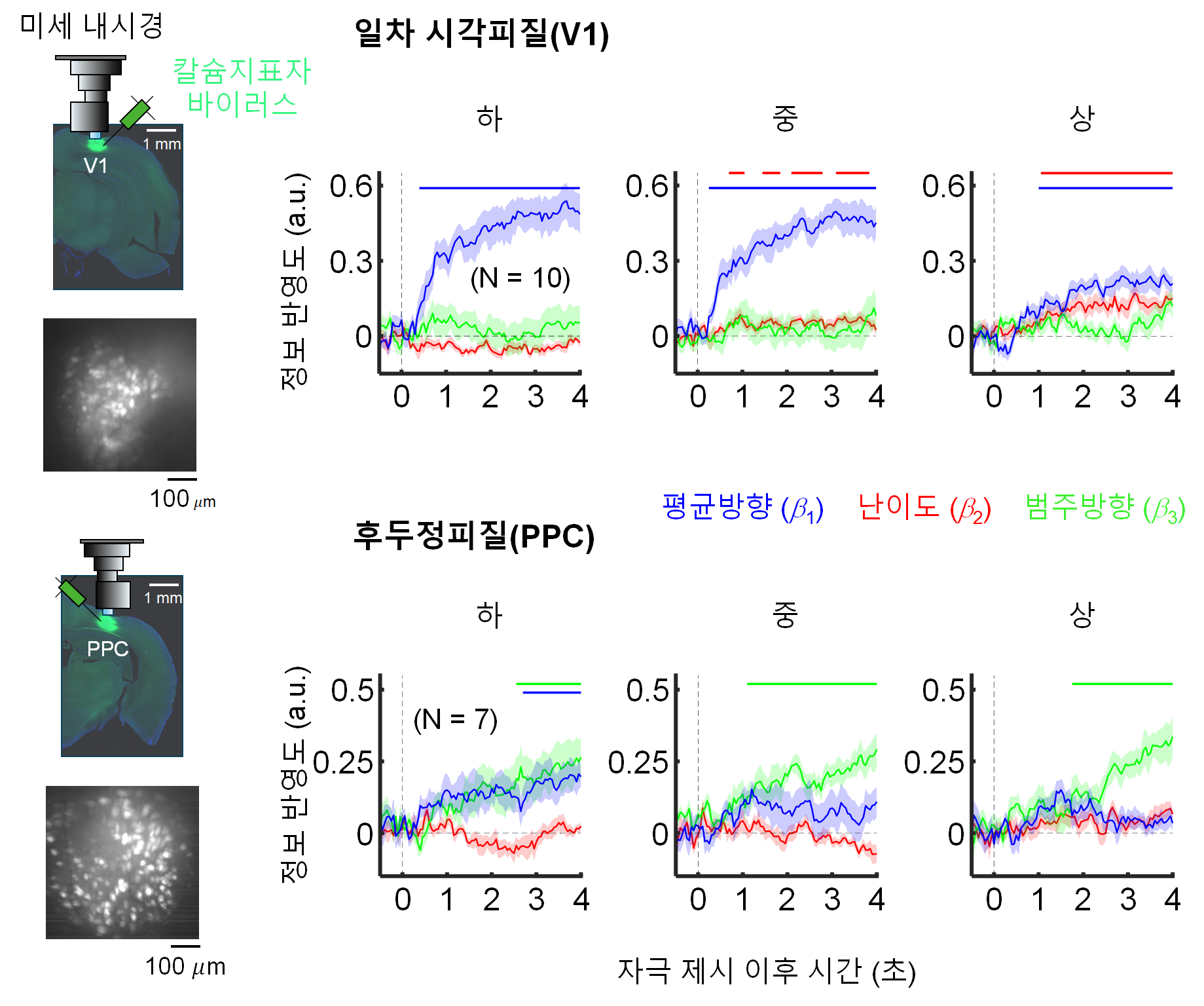 [그림 3] 미세내시경을 이용한 칼슘 영상 기반 V1 및 PPC 집단 분석 결과