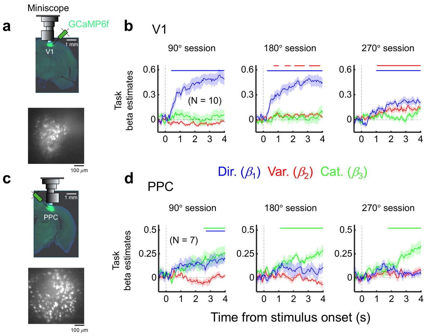 Figure 3. Population-level representational analysis of V1 and PPC using miniscope calcium imaging