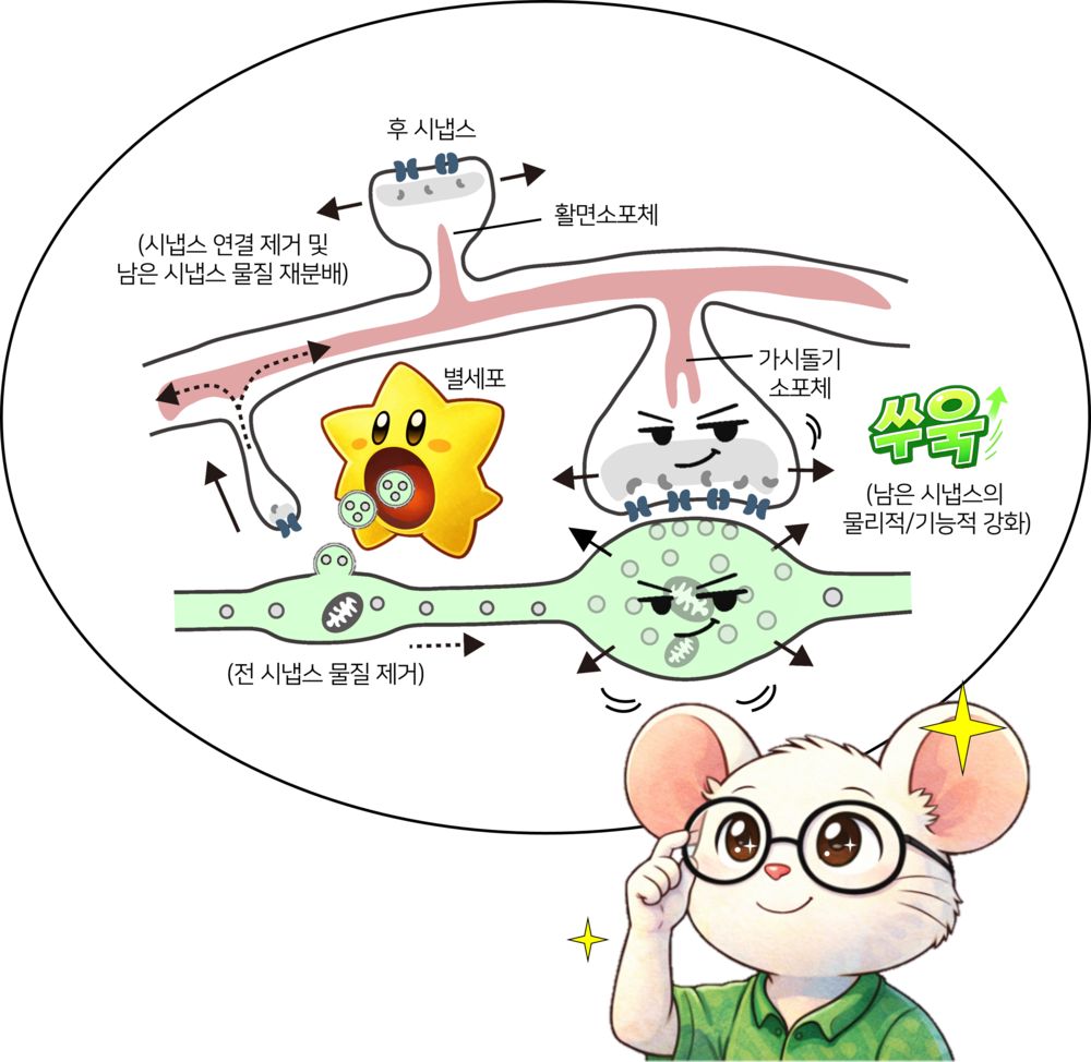 [그림3] 신트로고 기술 모식도 (1컷 만화)