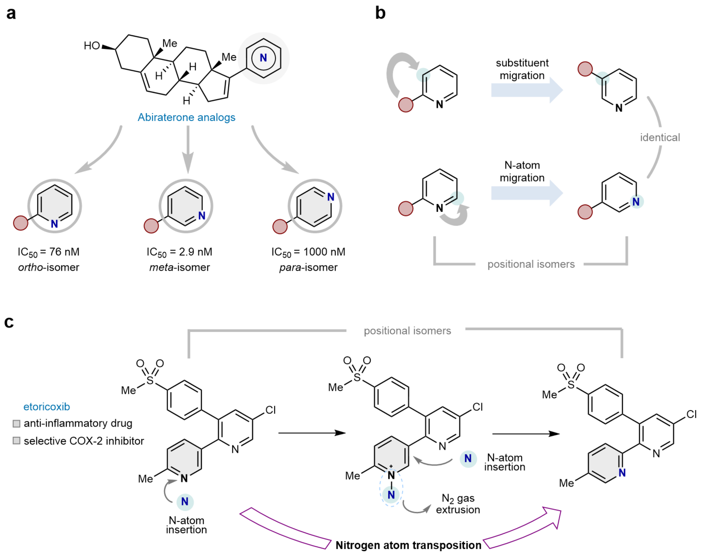ピリジン内の窒素移動による新しい分子編集法を開発（Moving Nitrogen within Pyridine Opens a New Path for Molecular Editing）