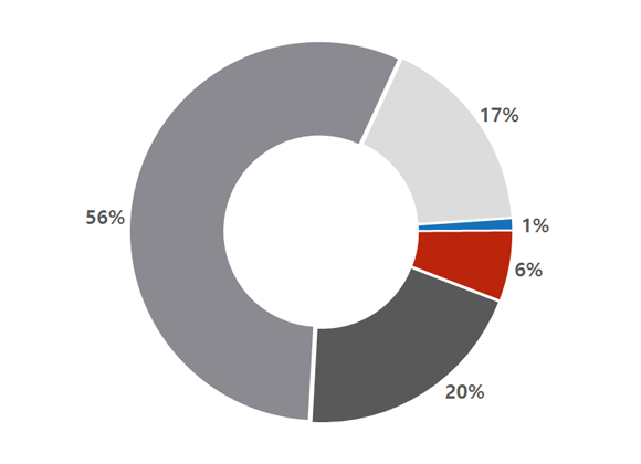 연구인력 구성(연령별) 파이그래프 - 60대이상 : 1%, 50대 : 6%, 40대 : 20%, 30대 : 56%, 20대 : 17%