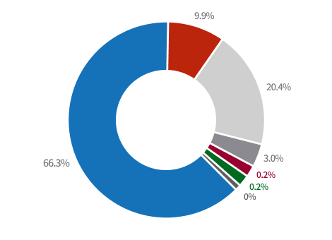 연구인력 구성(국적별) 파이그래프 - 한국인 : 66.3%, 아시아 : 20.4%, 유럽 : 9.9%, 북중미 : 3.0%, 오세아니아 : 0.2%, 남미 : 0.2%, 아프리카 : 0% 