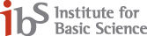 Institute for Basic Science