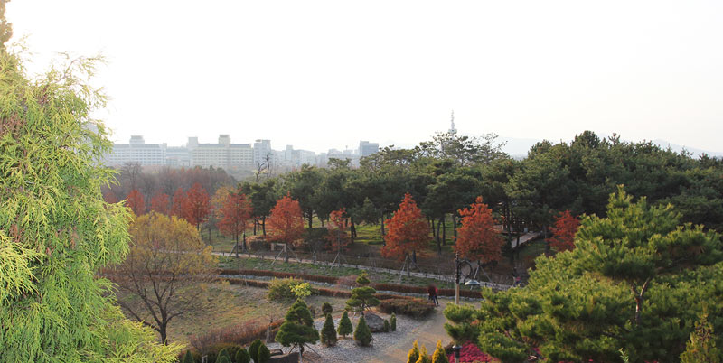 Hanbat Arboretum 한밭수목원