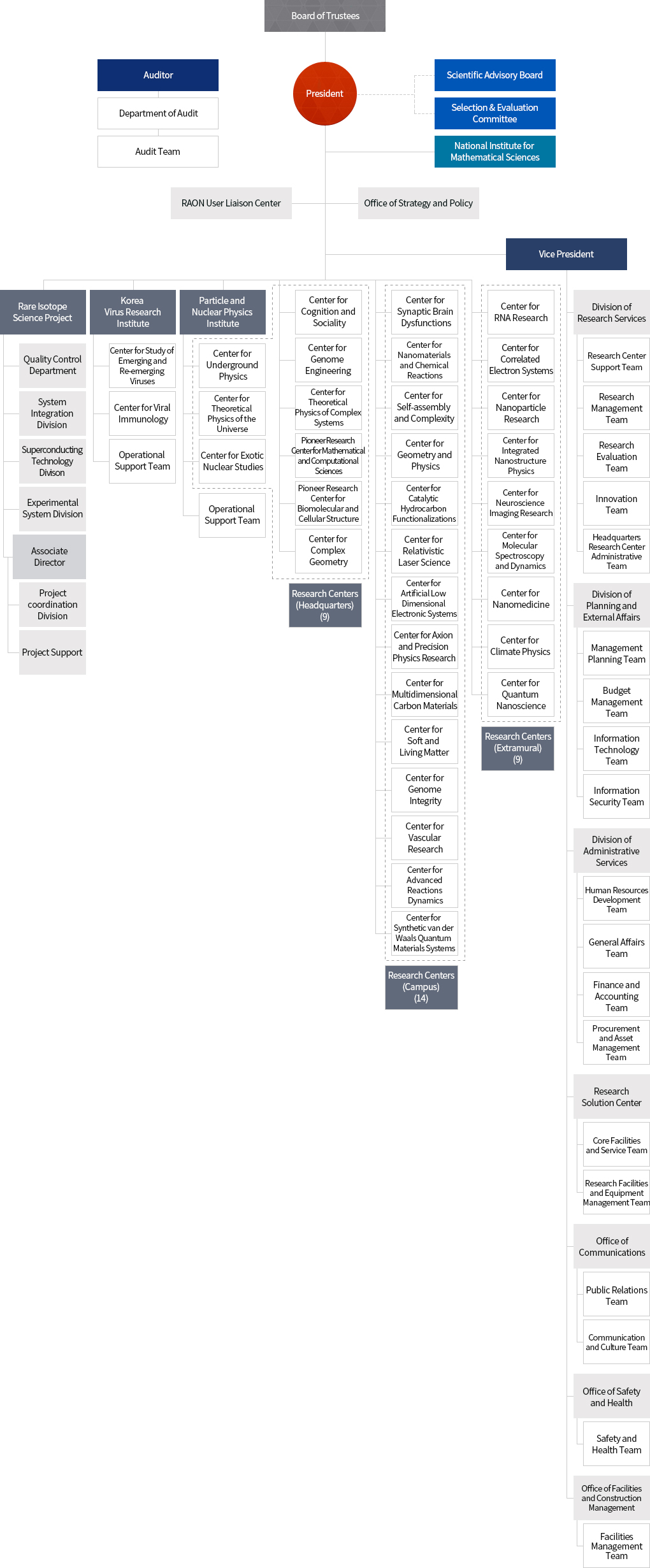 ibs Organization Chart