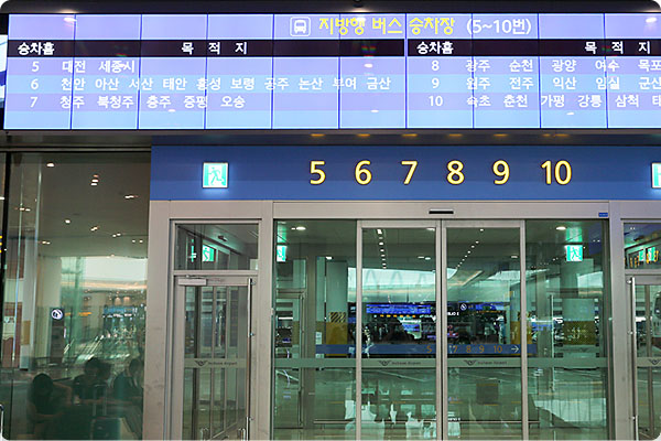 Doors to bus platforms