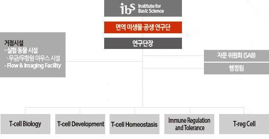 조직도