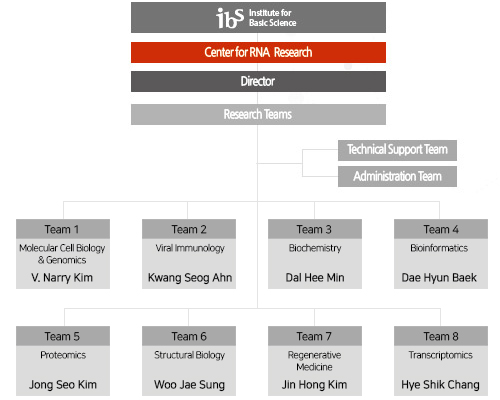 Organization