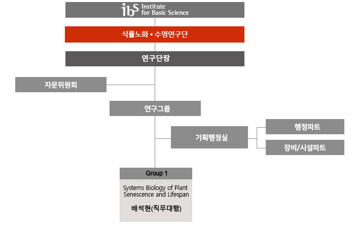 조직도