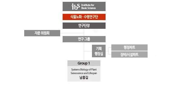 조직도