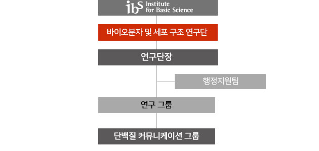 조직도