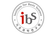 ibs logo