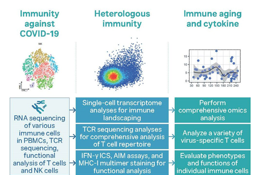 Center for Viral Immunology