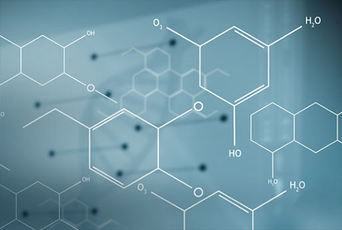 Center for Catalytic Hydrocarbon Functionalizations