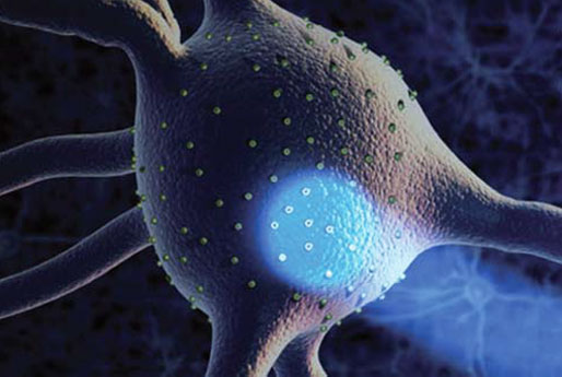 뇌기능의 유전학적 신경과학적 기전 연구 유전학적·신경과학적 기전 연구 : 타이틀 이미지