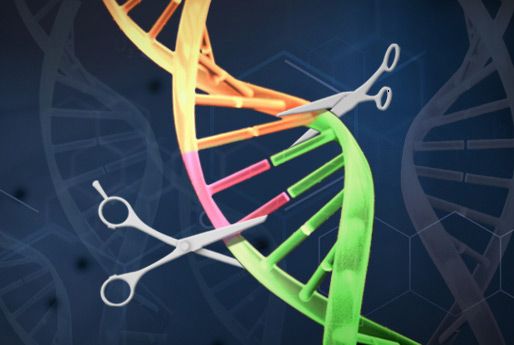 유전자가위를 이용해 난치성 질환을 원천치료 하는 새로운 방법을 연구 : 타이틀 이미지