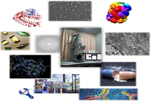 Center for Biomolecular and Cellular Structure