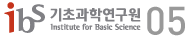 ibs Logo