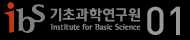 ibs Logo