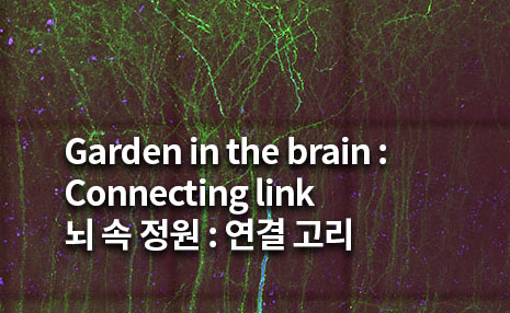 The 3rd Art in Science_Garden in the brain : Connecting link 뇌 속 정원 : 연결 고리