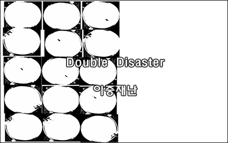 The 4rd Art in Science_이중재앙(double disaster)