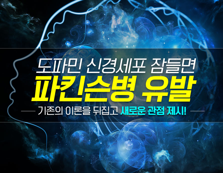 미래에는 파킨슨병 초기에 치료할 수도! 잠들기만해도 파킨슨병을 유발하는 도파민 신경세포!