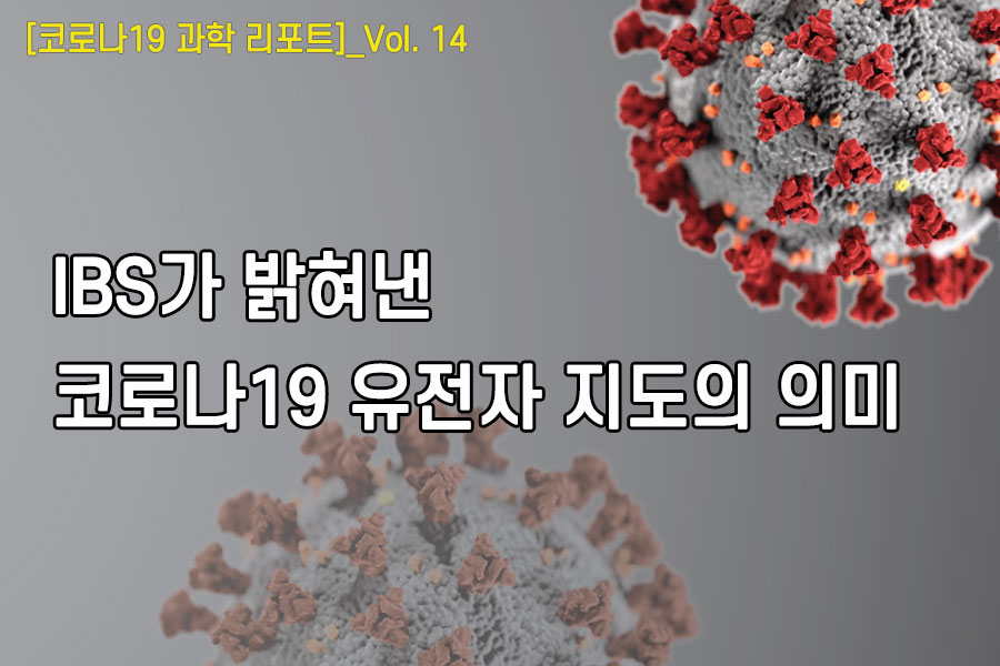 [코로나19 과학리포트]_Vol.14 IBS가 밝혀낸 코로나19 유전자 지도의 의미