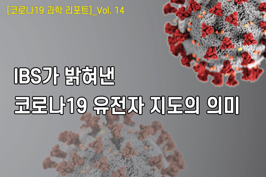 [코로나19 과학리포트]_Vol.14 IBS가 밝혀낸 코로나19 유전자 지도의 의미