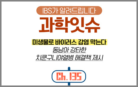 [IBS 과학잇슈] 미생물로 바이러스 감염막는다