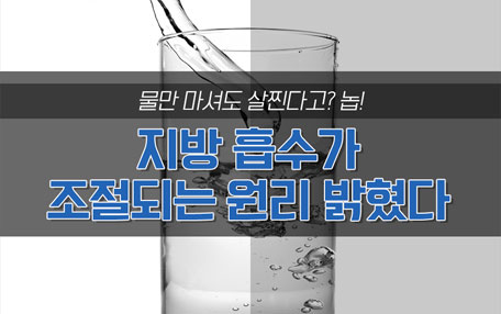 [카드뉴스] 지방 흡수가 조절되는 원리 밝혔다