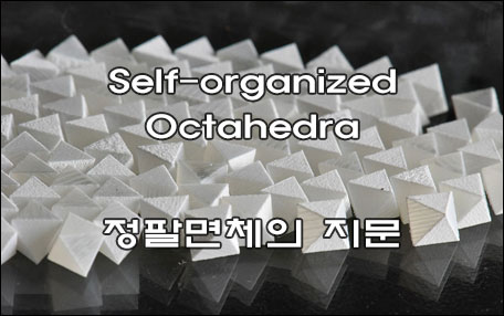 정팔면체의 지문
