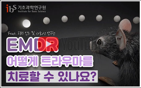 IBS 홍보콘텐츠 공모전 일반부 최우수상 수상작