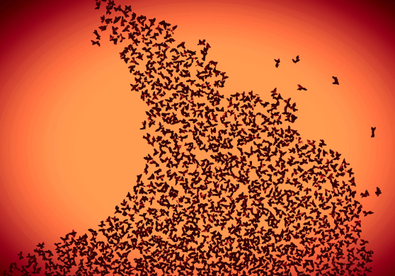 그리고, 당신이 무언가를 원할 때, 온 우주가 나서서 당신이 그것을 성취할 수 있도록 힘을 합쳐 도와줍니다. -Paulo Coelho 동이 트는 새벽 하늘 아래, 하늘을 나는 새 무리는 희망 속에 꿈을 좇습니다. 우리가 항상 성공을 맛볼 수는 없습니다. 하지만 꿈을 이룰 수 있다는 희망은 멈춰서는 안 됩니다. “절대 포기하지 마세요” 전자 현미경을 통해 관찰된 매우 작은 사이즈 (평균 사이즈: 90nm) 를 가진 금 나노 입자의 비대칭적 성장은 이러한 희망의 조각을 보여줍니다. 유전자, 바이러스 및 단백질 등과의 분자 차원의 상호작용을 나타내는 금 입자는 특별한 형태를 가지고 있으며, 그 눈에 띄는 특징적인 형태는 더 진보한 의생명과학에 미래 지향적으로 적용될 수 있는 가능성을 보여줍니다. 깨달음을 주는 이 사진은 새들과 과학 모두의 새로운 여정을 의미합니다. 그것은, 앞으로 만들어질 새로운 발견이 놀라울 만큼 잠재되어 있다는 것입니다!