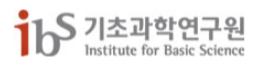 IBS Institute for Basic Science