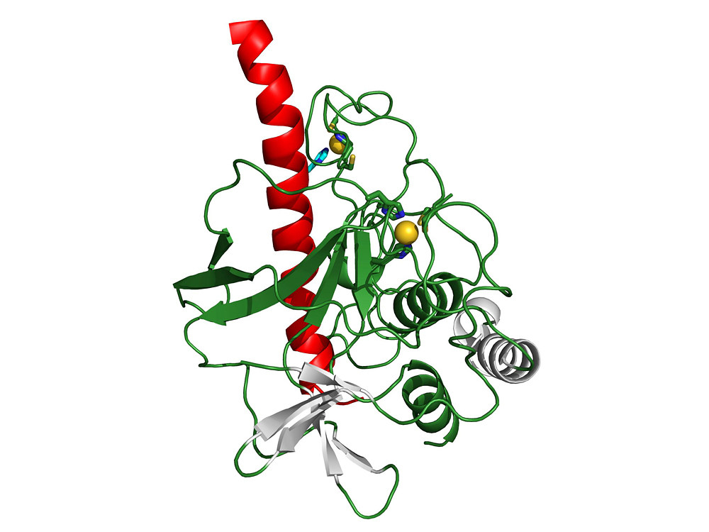 2016 IBS Art in Science