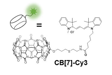 Cellular Recycling Caught In the Act
