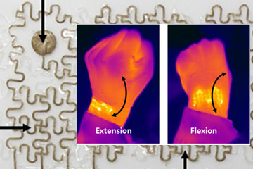 New Soft Bioelectronic Mesh Tested on Human Wrist and Pulsating Pig’s Heart