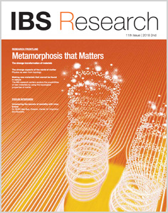 IBS Research 11th