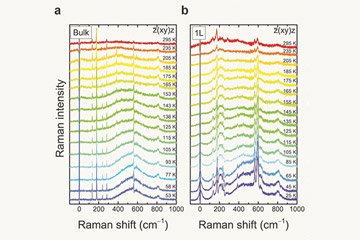 2D Magnetism Reaches a New Milestone