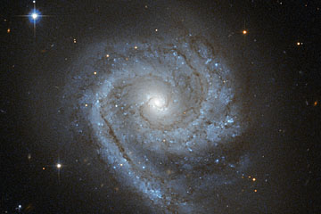 COSINE-100 Experiment Investigates Dark Matter Mystery