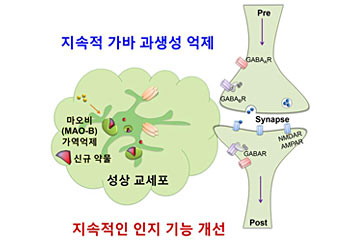 치매의 원인부터 해결하는 새로운 후보 약물 개발