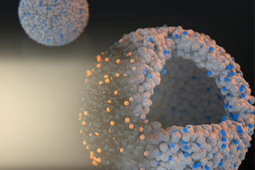 Heterogeneous Catalyst Goes Enzymatic