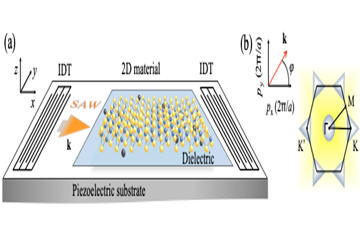 Unconventional phenomena triggered by acoustic waves in 2D materials