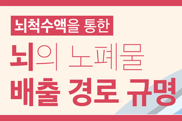 치매 원인 물질 배출하는‘뇌 하수도’규명