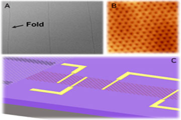 Graphenes now go monolayer and single crystalline